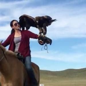 Meet your Posher, Hunghsin